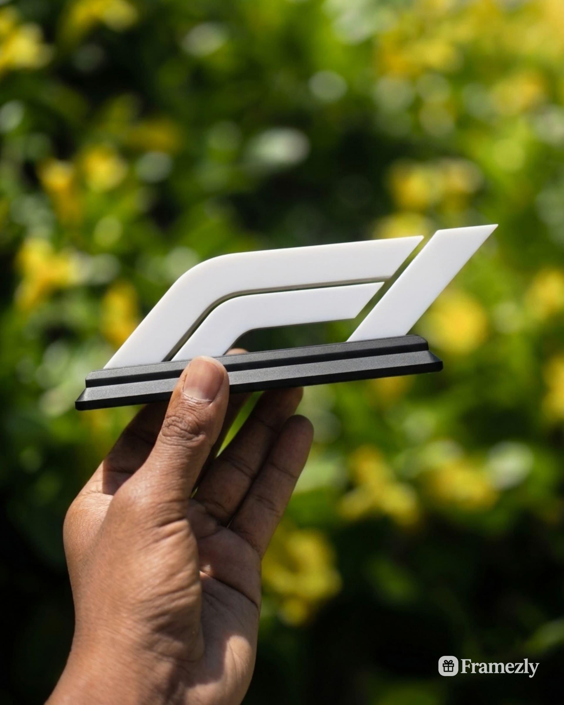 F1 3D Display Stand - Formula 1
