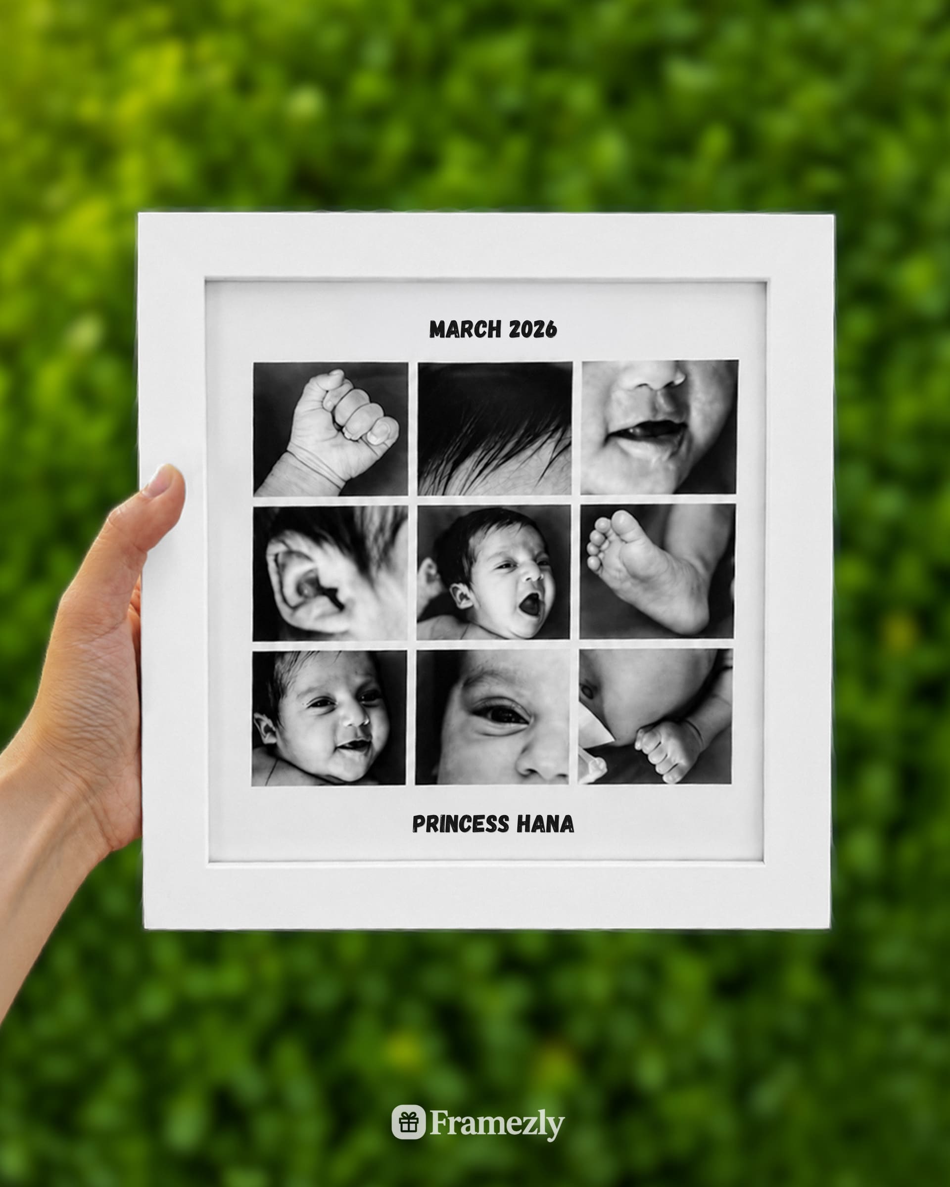 Grid Frame